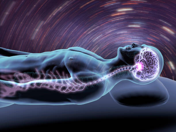 best brain and spine